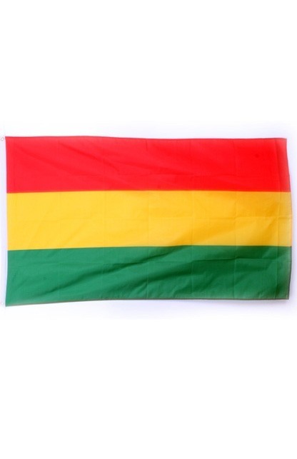 voordelig Piket grijs Vlag rood geel groen dikke kwaliteit - Versiering & decoratie - Carnavals-  en feestwinkel | Carnavalsshop 't Mooswief Maastricht